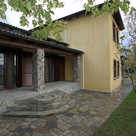 Villa Wood And Stone à Ioannina Extérieur photo