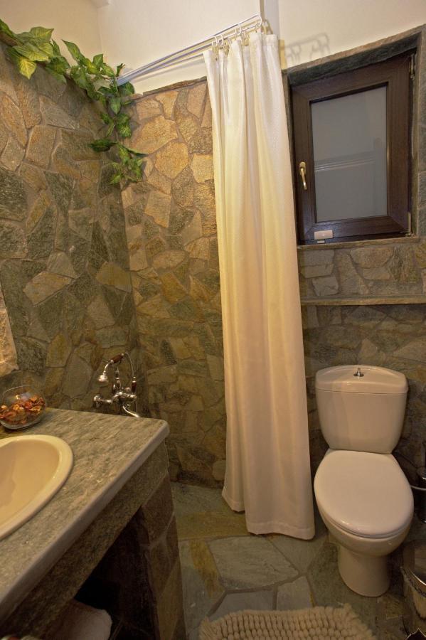Villa Wood And Stone à Ioannina Extérieur photo