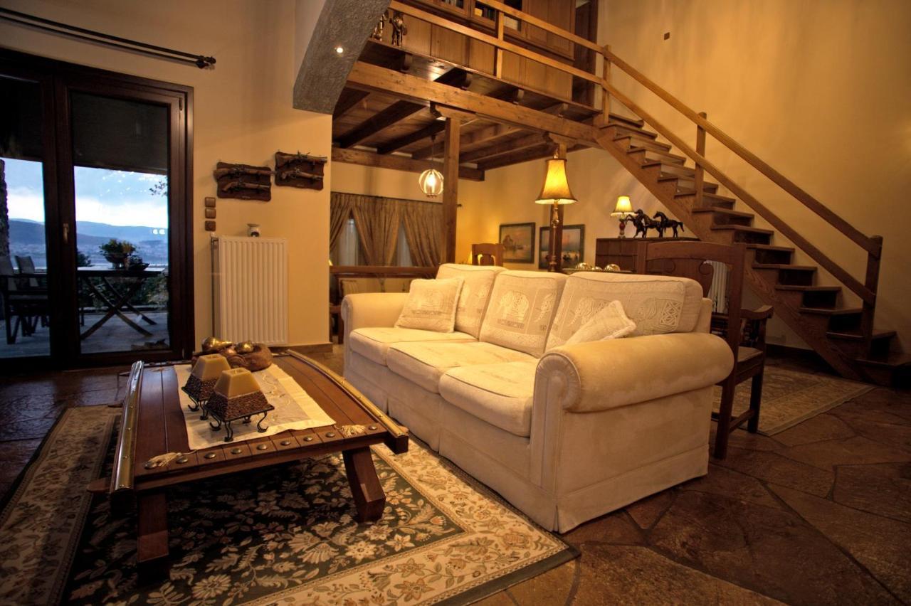 Villa Wood And Stone à Ioannina Extérieur photo
